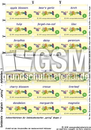 Setzleiste_spring_answers 1.pdf